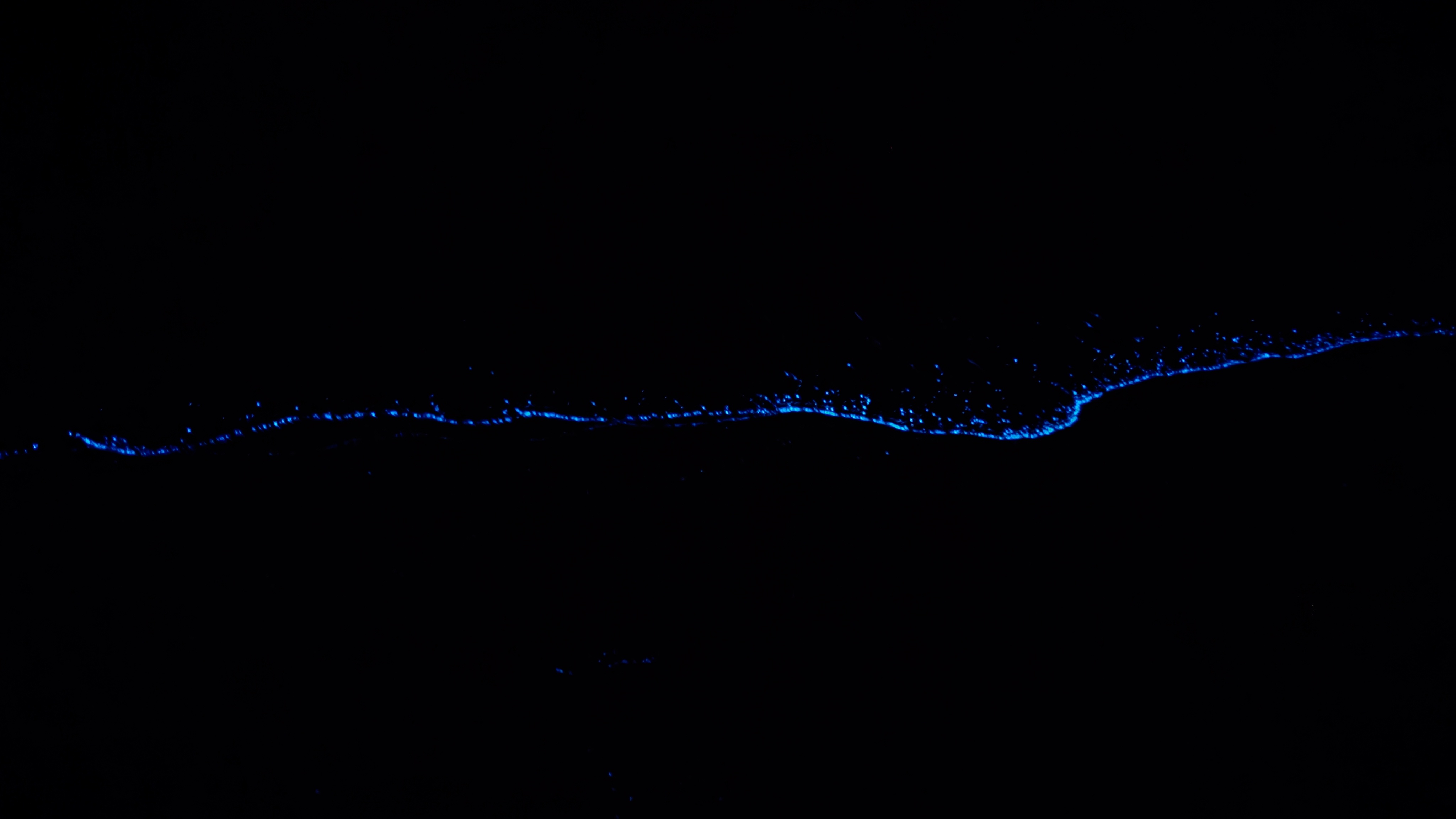 Plankton dotted the coastline - a stunning view that left us so mesmerized