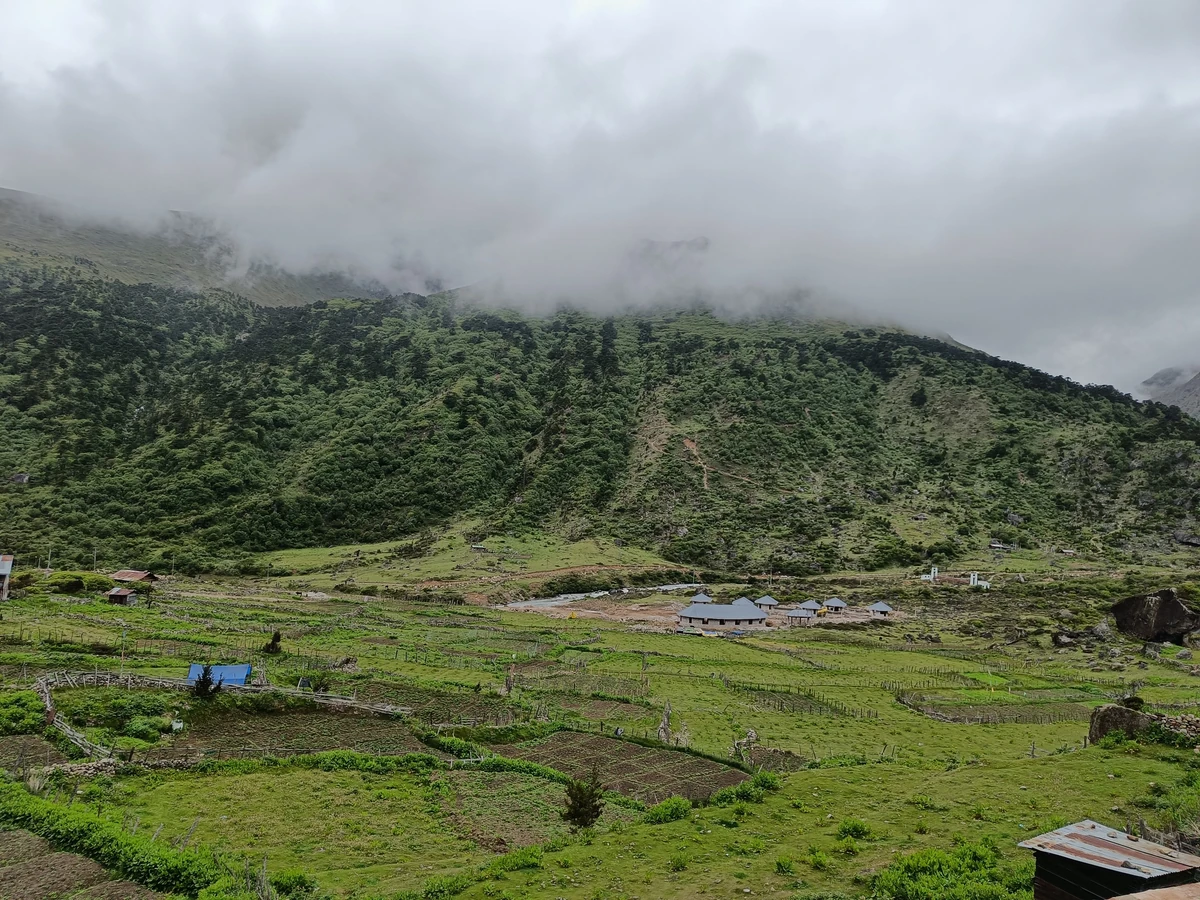 Scenic mountain route through Himalayan forests on the journey to Lachen