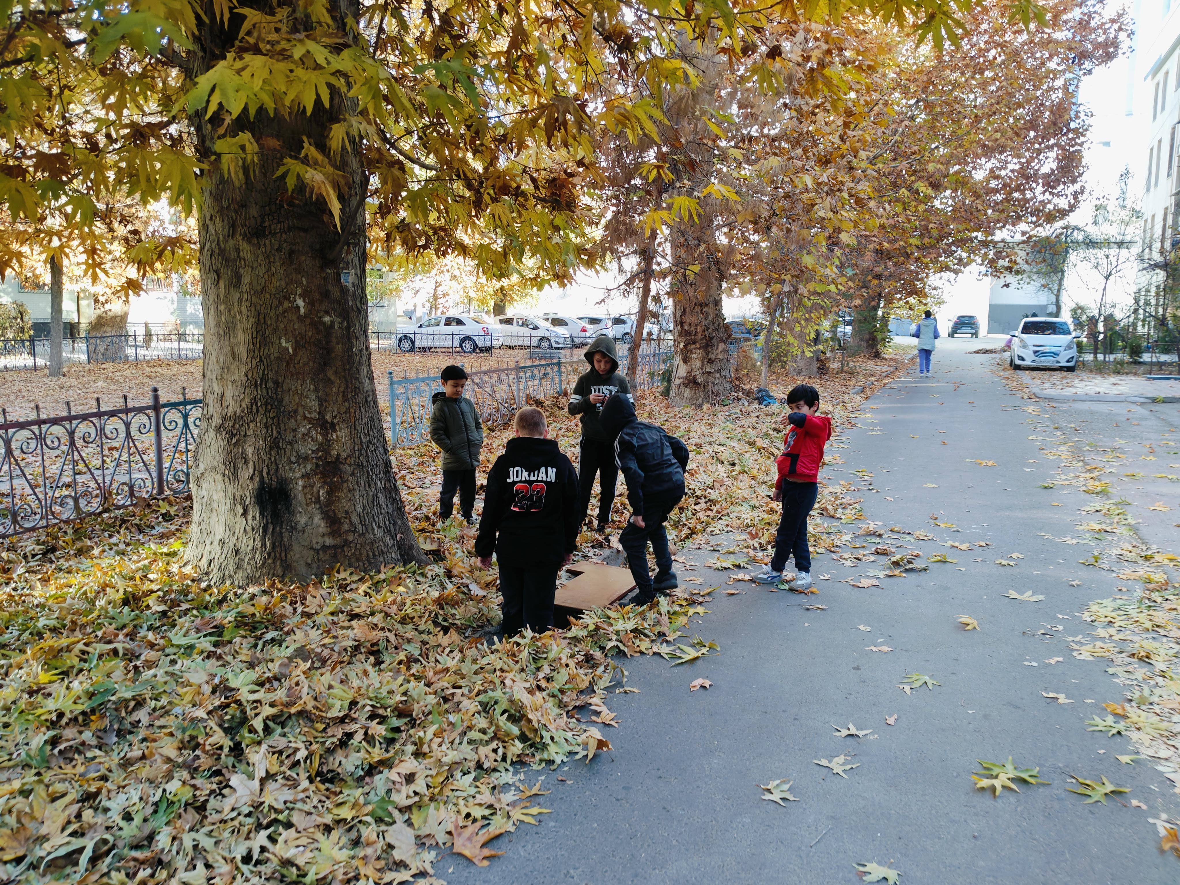 Autumn scene in residential Tashkent with golden fallen leaves - picturesque suburban neighborhood showcasing everyday life in Uzbekistan's capital during fall season