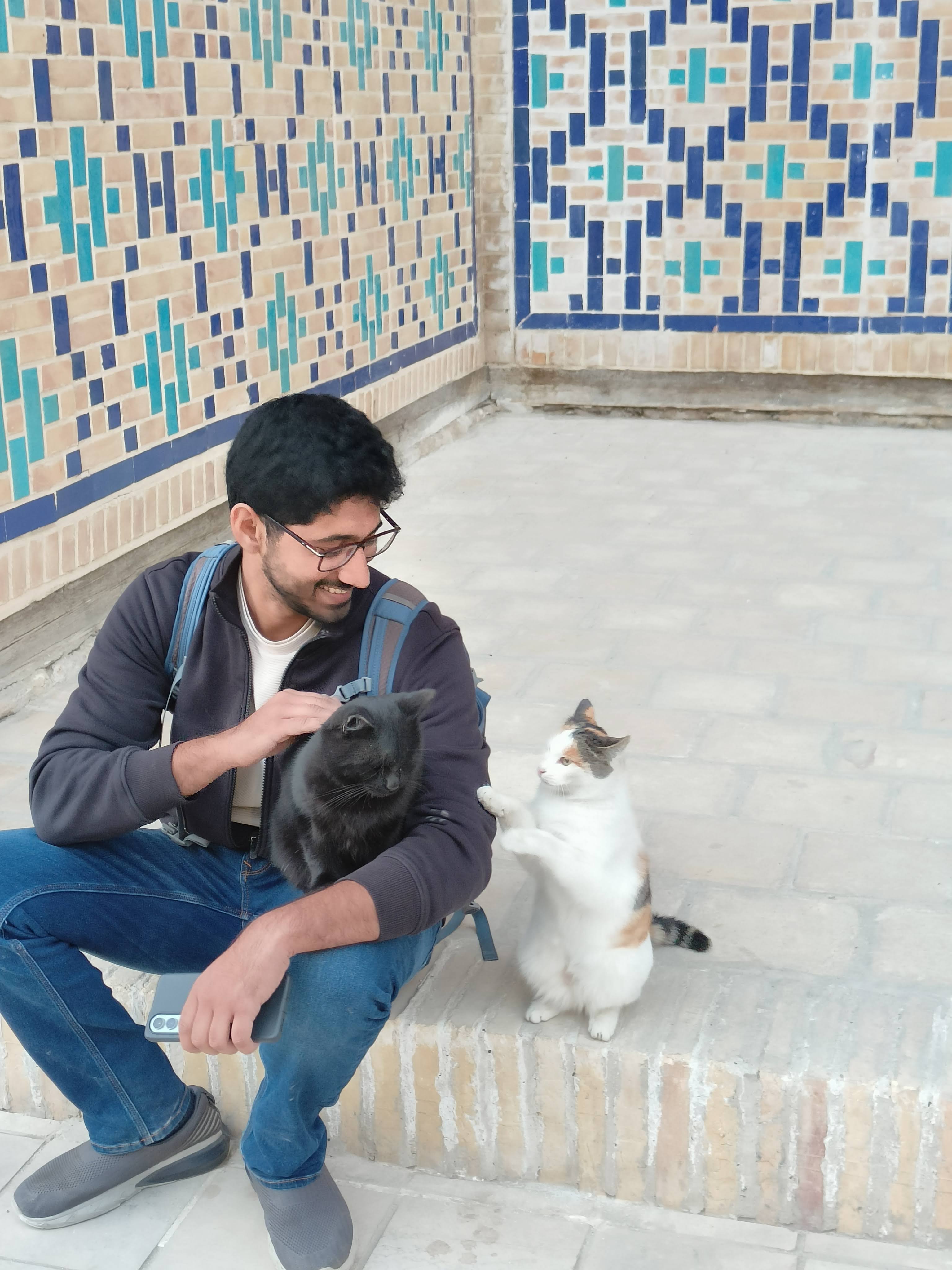 Friendly cat in Bukhara, Uzbekistan - local stray cats seeking warmth in the cold 5-degree temperatures of the ancient Silk Road city