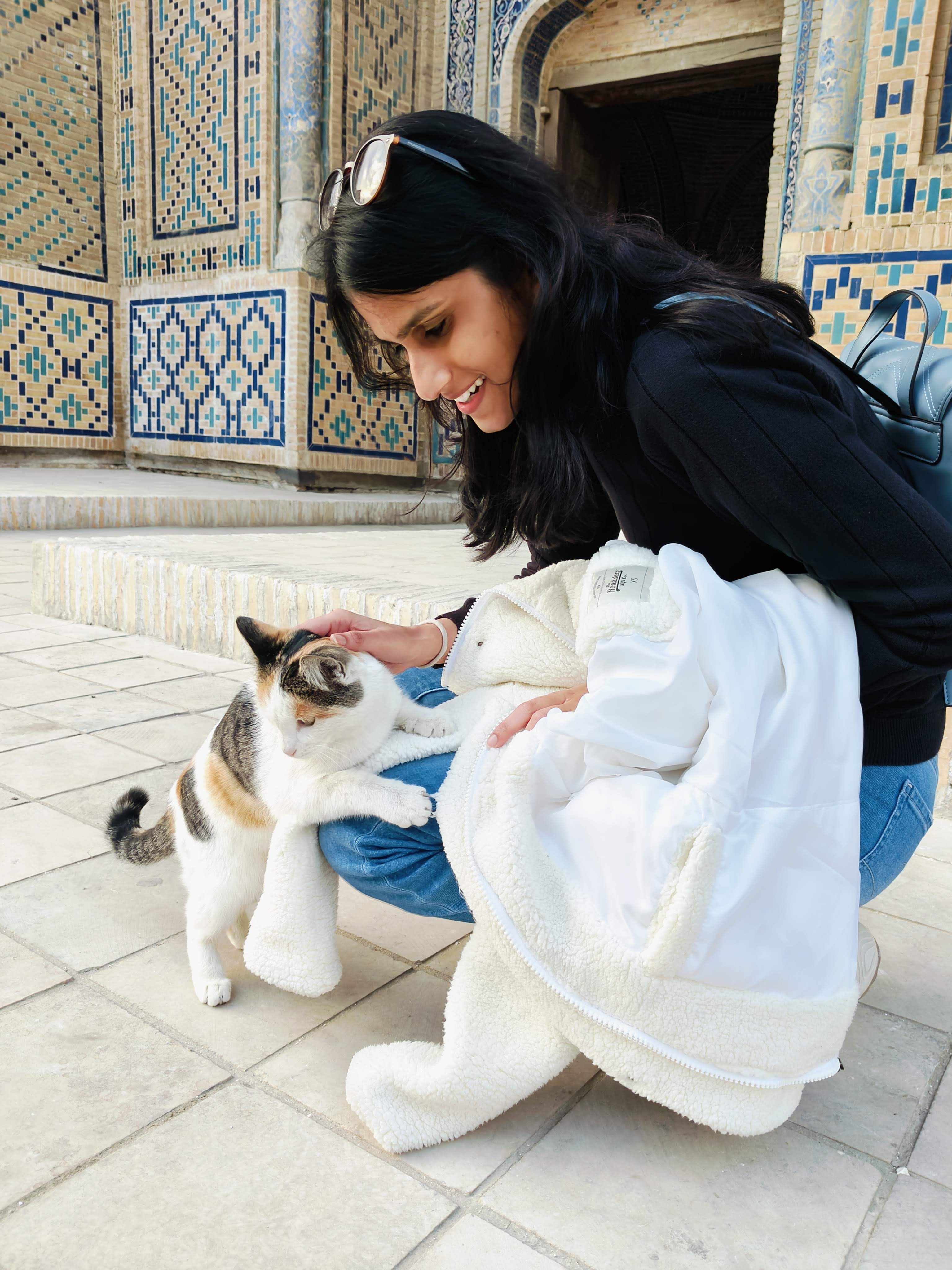 Affectionate stray cats in Bukhara's historic center - friendly felines that interact with tourists visiting Uzbekistan's ancient Silk Road city