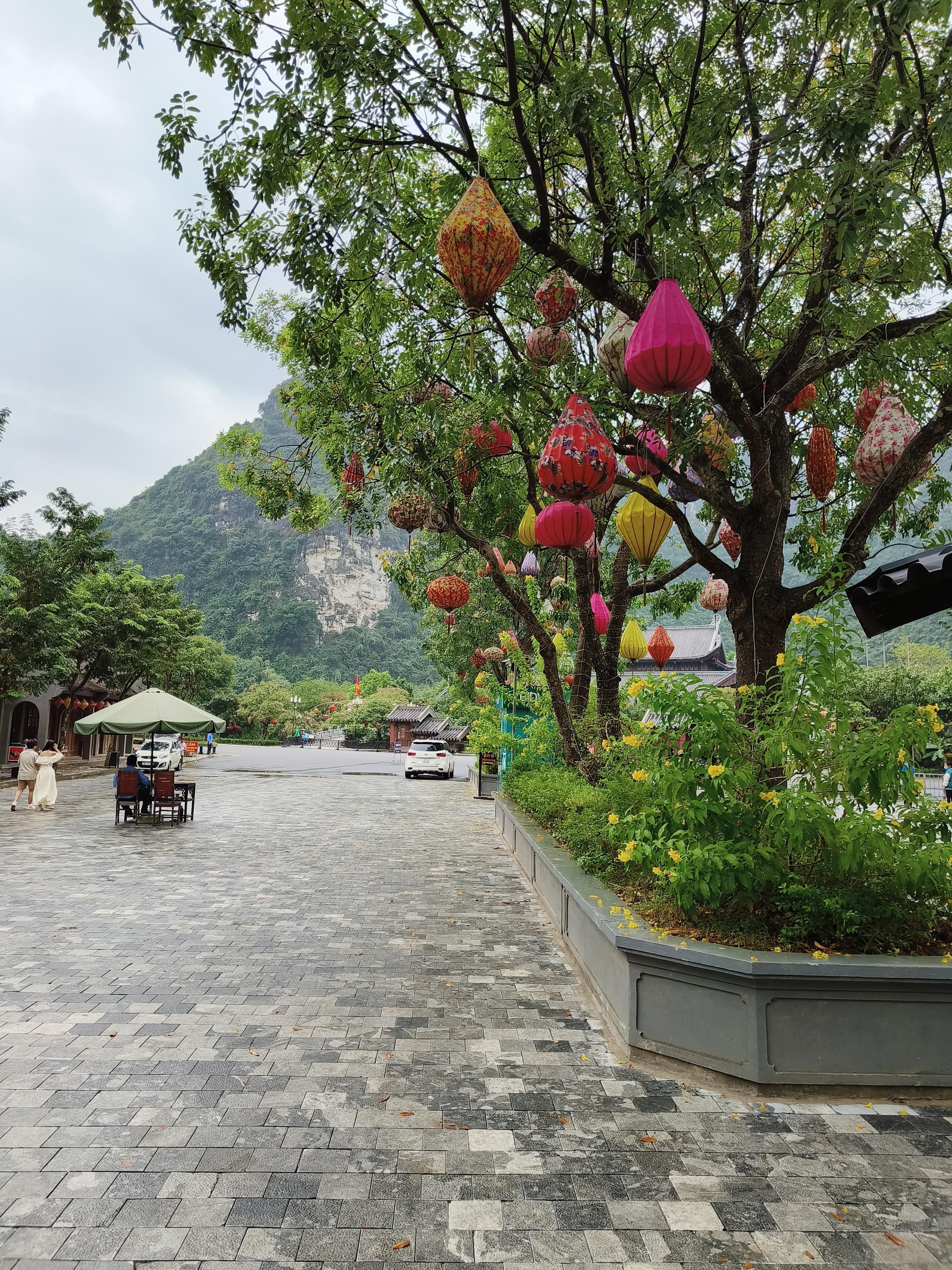 Lush green Vietnamese countryside in Ninh Binh with traditional farming practices and water buffalo